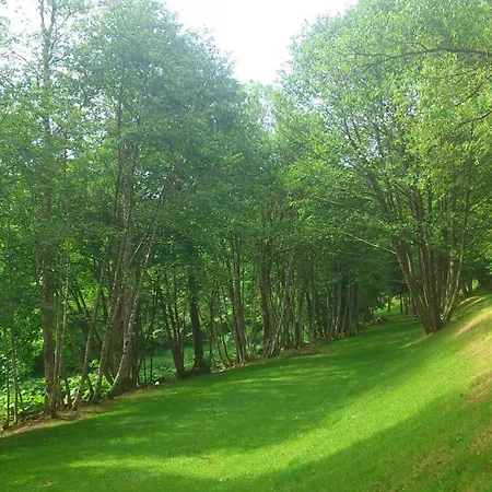 Moonshine 79 سانت بلاسين