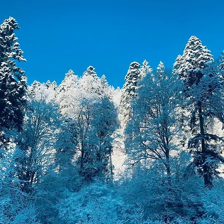 شقة Moonshine 79 سانت بلاسين