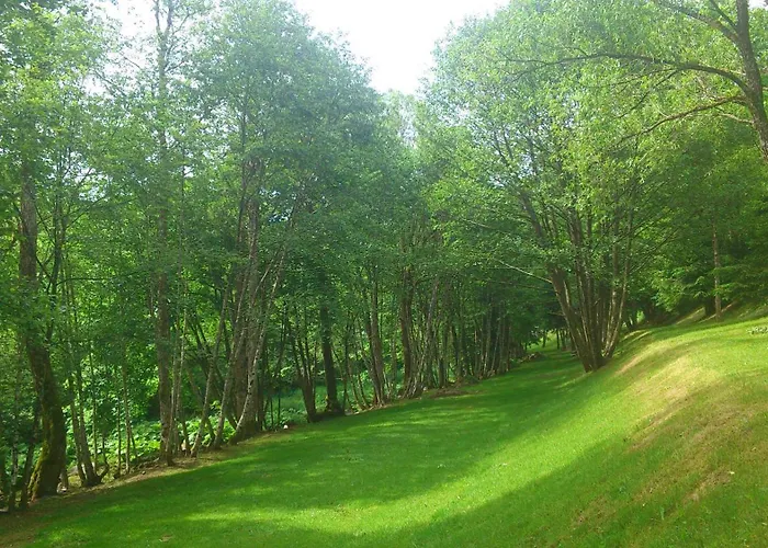 Moonshine 79 ザンクト・ブラージエン